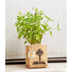 Jute Bags Manufacturers in Mumbai